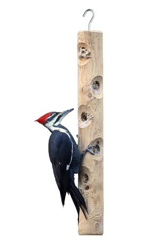 Kettle Moraine Large Cedar Suet Log Feeder for Woodpeckers and Chickadees
