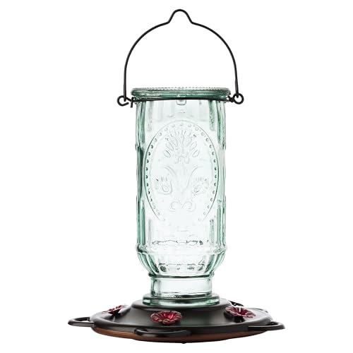 More Birds Vintage Hummingbird Feeder, Antique Glass Hummingbird Feeders for Outdoors, 5 Feeding Stations, 20 Ounces