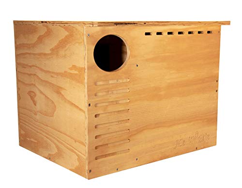 JCs Wildlife Barn Owl Nesting Box Large House Crafted in USA - Exterior Grade Treated Plywood - Mounting Hardware and Pine Shavings Included - Dedicated Clean Out Door for Easy Cleaning