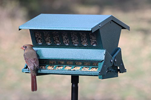 Woodlink Absolute II Squirrel Resistant Bird Feeder Model 7536, 12 lbs, Model:301045