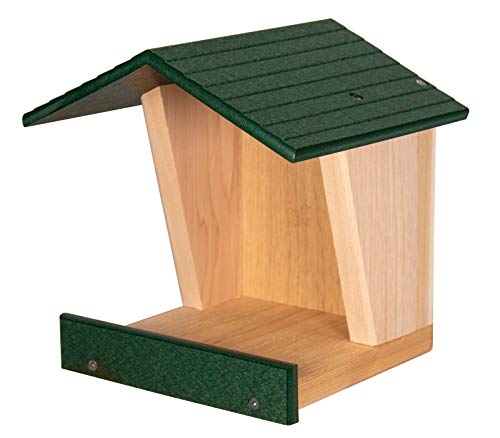 JCs Wildlife Modern Style Cedar Robin Roost with Poly Lumber Roof - Great for Robins, Phoebes, Doves and Swallows - Nesting and Roosting Platform (Green)