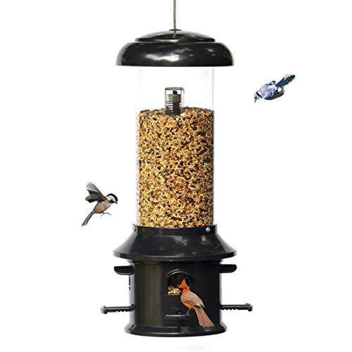 Nature's Rhythm Squirrel Proof Bird Feeder of Weather Guard 4 Classic Ports,1.5lb Seed Capacity,Wild Bird Feeder Hanging for Garden Yard Outside （Black）