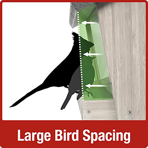 Nature's Way Bird Products CWF28 Cedar 3 Quart Hopper Bird Feeder with Suet, 10 x 25.5 x 18, Black