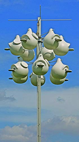 Ravenox FMS Purple Martin Gourd Rack | Deluxe 12 Gourd Rack Combo Kit includes All Accessories to Install Complete Housing Community (Vertical)