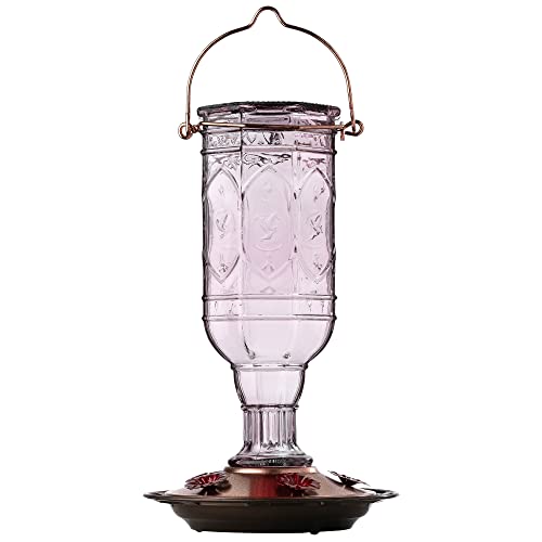 More Birds Amethyst Jewel Hummingbird Feeder, Glass Hummingbird Feeders for Outdoors, 5 Feeding Stations, 20 Ounces