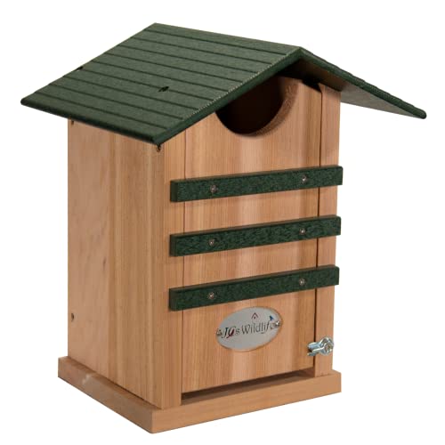 JCs Wildlife Screech Owl or Saw-Whet Owl House Cedar Nesting Box with Poly Lumber Roof - Screech Owl Nest Box - Made in The USA