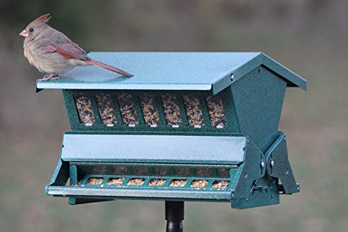 Woodlink Absolute II Squirrel Resistant Bird Feeder Model 7536, 12 lbs, Model:301045