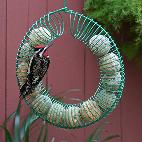 Pacific Bird & Supply Co PB-0108 Green Ring Suet Ball Feeder & Peanuts Feeder for Wild Birdwatching