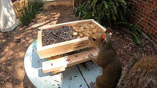 Picnic Table Platform Feeder for Birds and Squirrels with Peanuts
