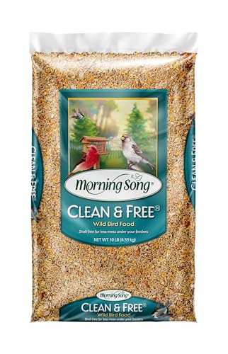 Morning Song Clean & Free Shell Free Wild Bird Food, Premium No Mess Bird Seed for Outside Feeders, 10-Pound Bag