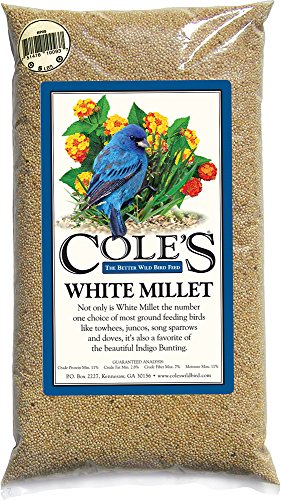 Cole's MI20 White Millet Bird Seed, 20-Pound