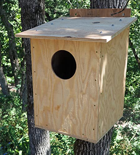 Barn Owl Nesting Box