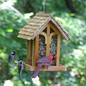 Top 6 Best Bird Feeders For Chickadees: The Ultimate Buyer's Guide