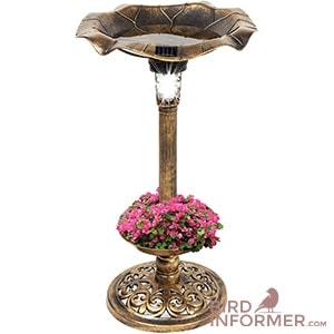 Best Choice Products Outdoor Solar Lighted Pedestal Bird Bath Fountain