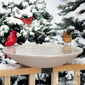 Heated Bird Bath with Mounting Bracket