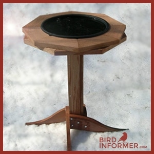 Songbird Essentials Heated Birdbath