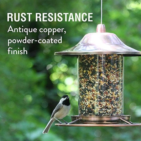 Copper Panorama Bird Feeder Rust Resistant