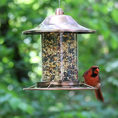 Copper Panorama Bird Feeder With Cardinal