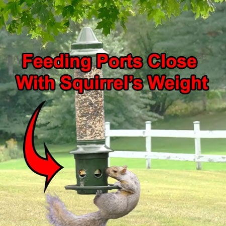 Squirrel Buster Plus Squirrel-proof Feeder