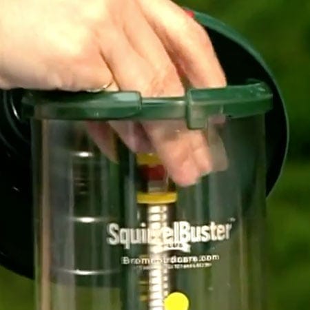 SquirrelBuster Plus Brome Bird Feeder Weight Sensitivity