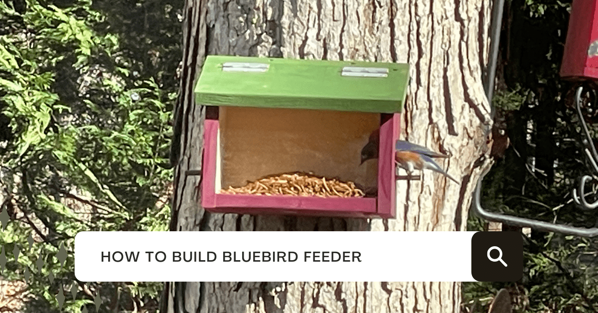 easy to make a bluebird feeder